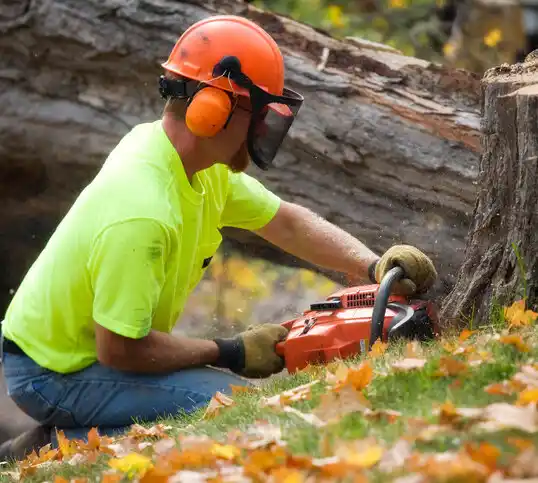 tree services Inez